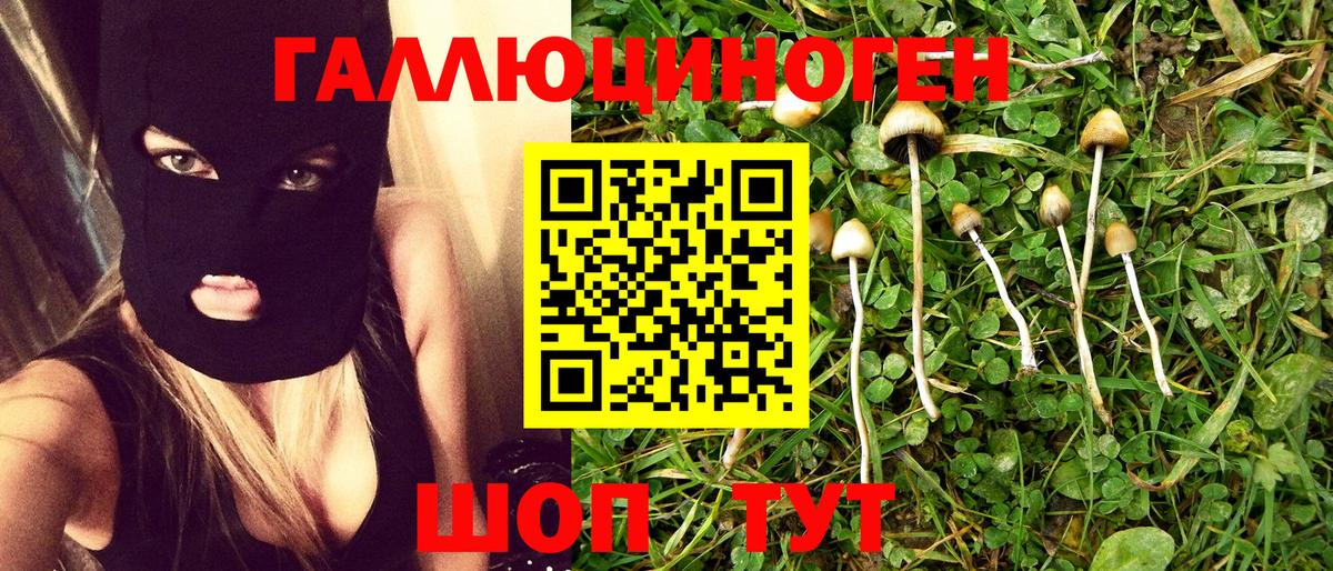 Удомля  Псилоцибиновые грибы Psilocybine cubensis  Псилоцибиновые грибы ЛСД  магазин продажи   Вход с VPN 