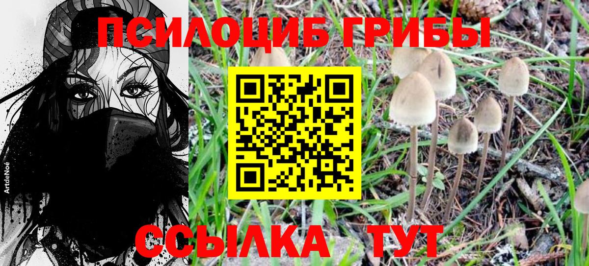 Псилоцибиновые грибы Magic Shrooms Удомля
